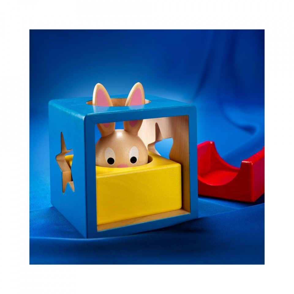 Настольная игра Smart Games Кролик Бу (Bunny Boo) SG 037 Бельгия. Купить в  Best-Toy