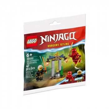 Конструктор LEGO Ninjago Битва за Храм Кая і Раптона 30650