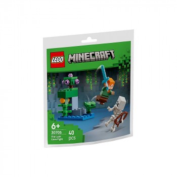 Конструктор LEGO Minecraft Бій в печері з хащами 30705